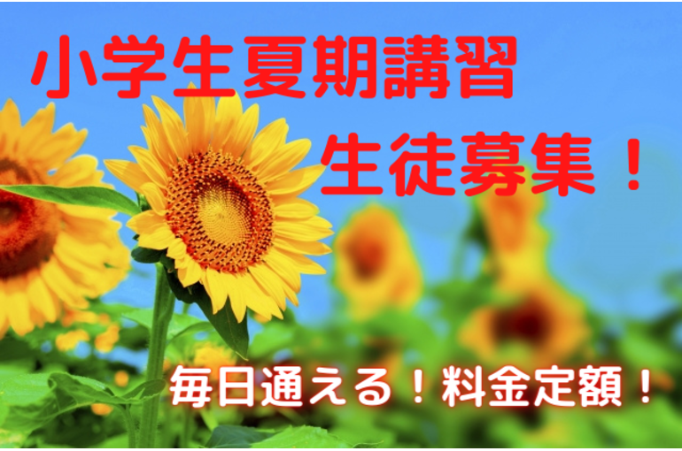 小学生夏期講習 生徒募集！