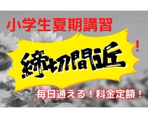 小学生夏期講習 生徒募集！ (1)