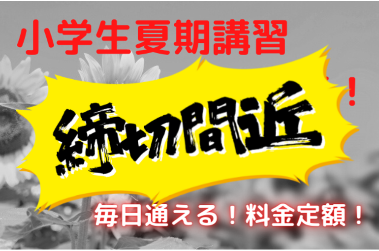 小学生夏期講習 生徒募集！ (1)