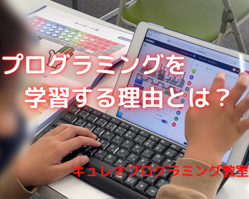 プログラミングを学習する理由とは？ (1)