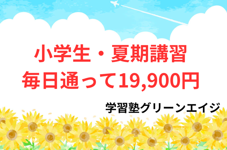 小学生・夏期講習 毎日通って19,900円
