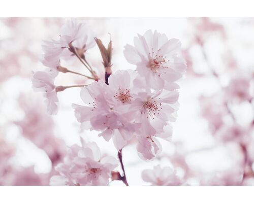 shawnn-tan-PE9iebFh2Ao-unsplash-2048x1365