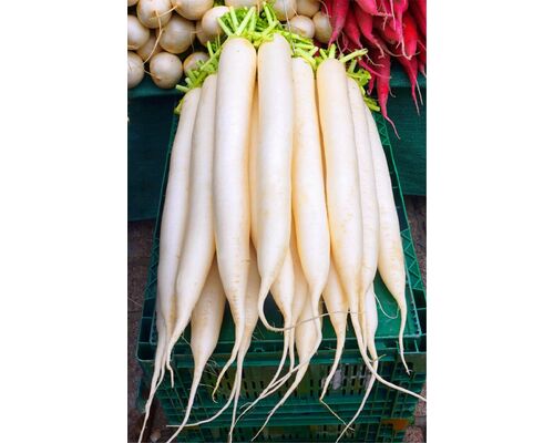 radish-3151347_1920