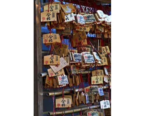 PPO_goukakugankake_TP_V4