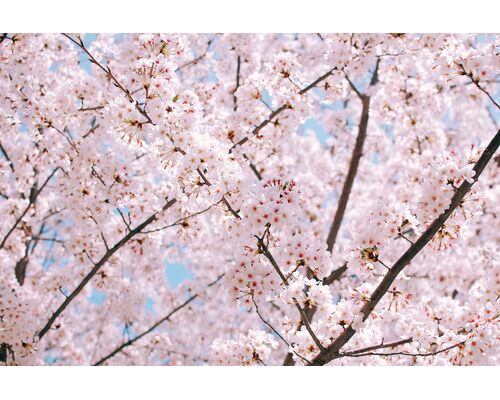 yukari-harada-tLgQhFhKYDw-unsplash-2048x1362