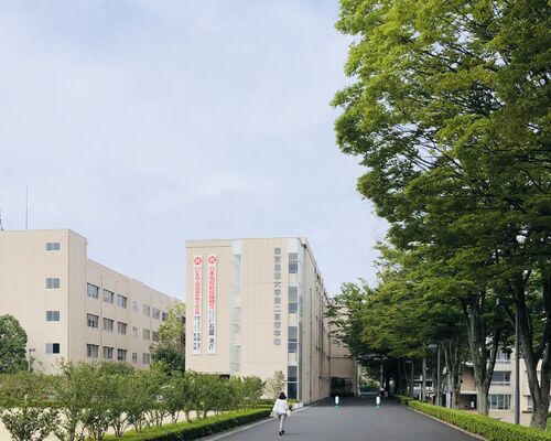 農大二高　偏差値